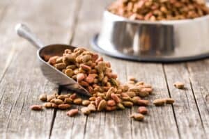 The Pride Dog Food A Nutrient-Rich Diet for Senior Working Dogs